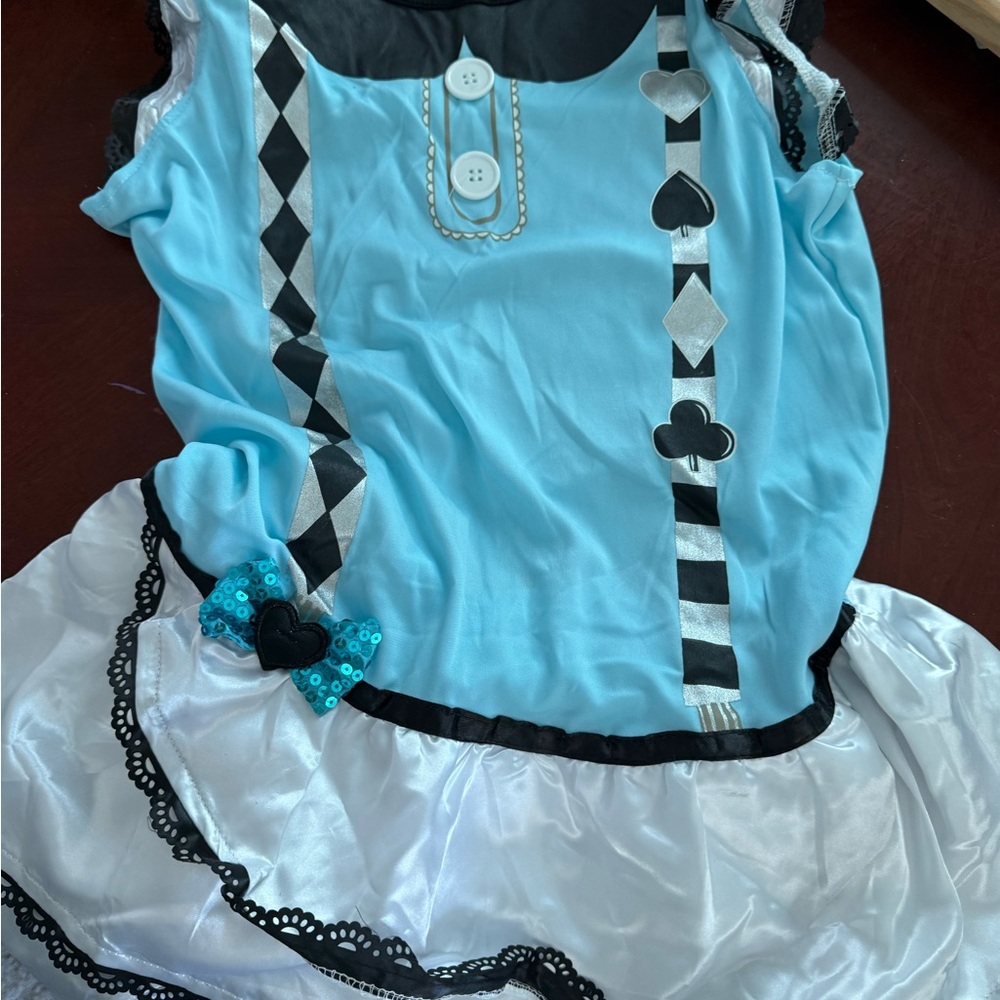 Blue and White Costume Dress with Black Accents